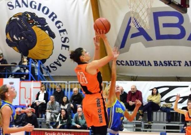 Basket Canegrate