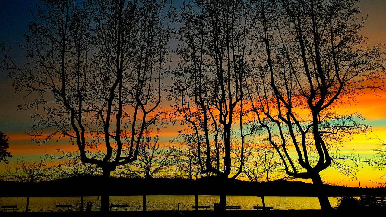 foto del giorno 7 febbraio 2023 tramonto schiranna di cristina cervini