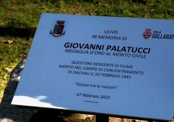 gallarate generico
