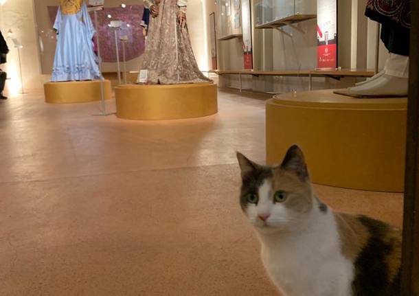 Mia, la regina del Castello di Legnano