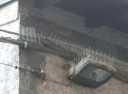 Generico 20 Feb 2023