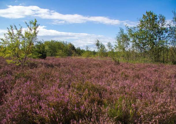 I Luoghi del Cuore Fai: la classifica provvisoria 2013 