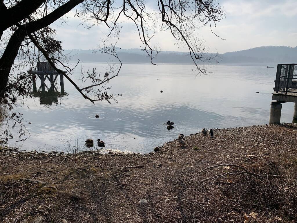 Lago di Varese in secca