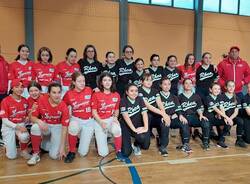 under 15 softball